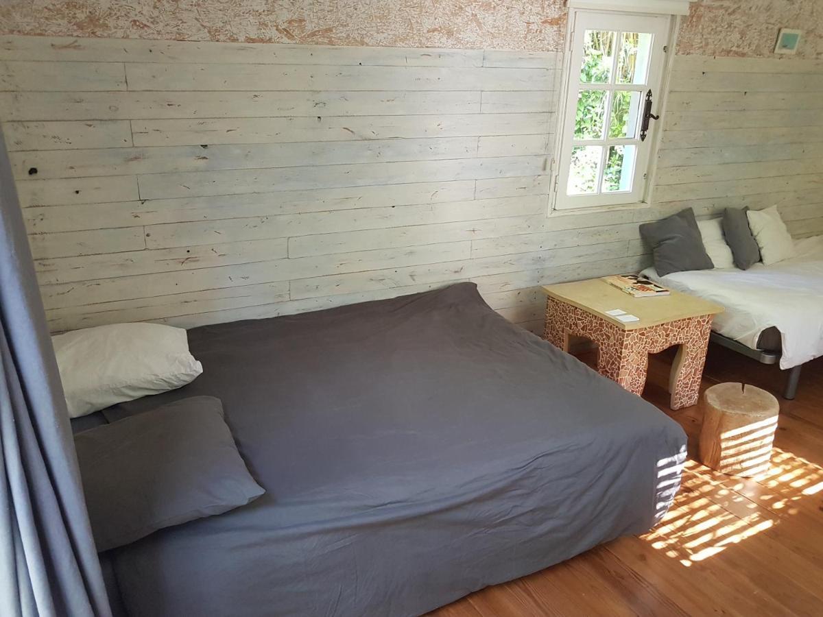 سان تروبيه Maison D'Hotes Le Calme المظهر الخارجي الصورة